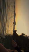 shpaakova Altpins Profile Picture