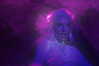 xtina Altpins Profile Picture