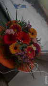 elviksi_07 Altpins Profile Picture