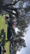 _lironatias Altpins Profile Picture