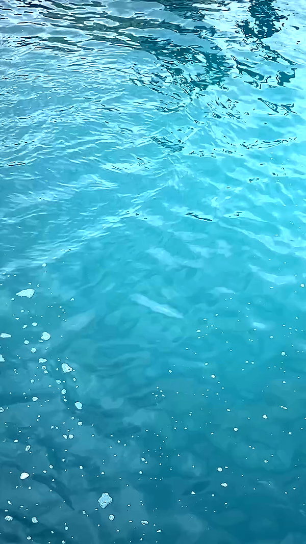 michalcohen___ archive video preview