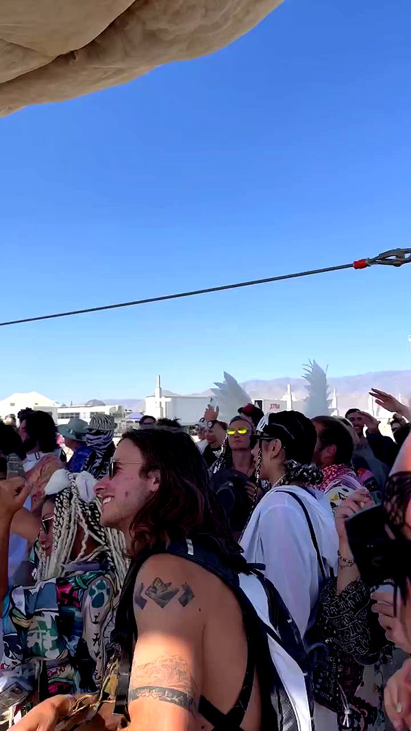 daniel_shallom archive video preview