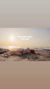 _wiyc.knz Altpins Profile Picture