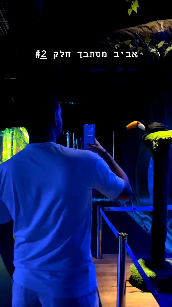 barzomer archive video preview