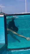 nomagdalina Altpins Profile Picture