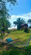 nicol.rochlin Altpins Profile Picture