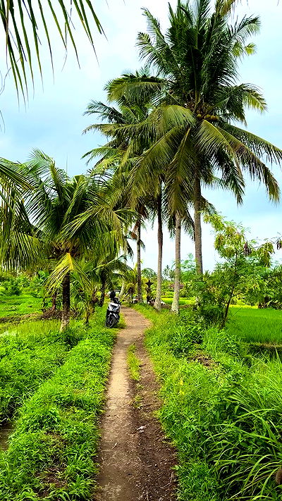 taylor.creeden taylor.creeden archive video