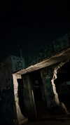 shai_landau_ Altpins Profile Picture