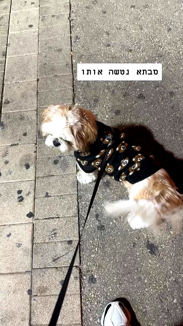 _._dianush._ archive video preview