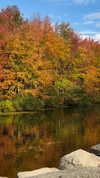 karin_orhov Altpins Profile Picture