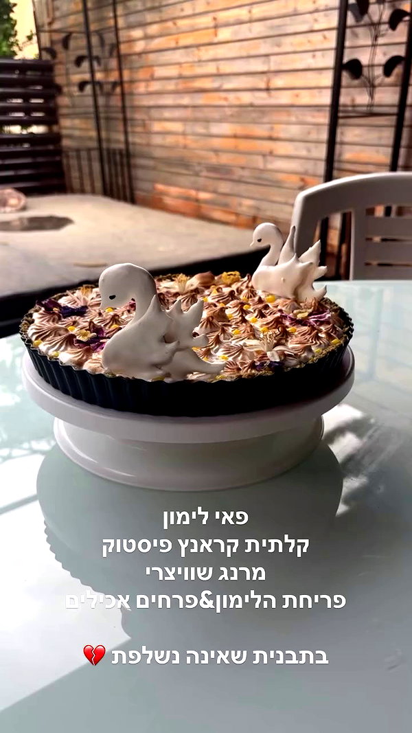 osher_yakir archive video preview
