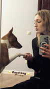 alexaasoul_ Altpins Profile Picture
