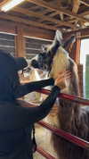 karin_orhov Altpins Profile Picture
