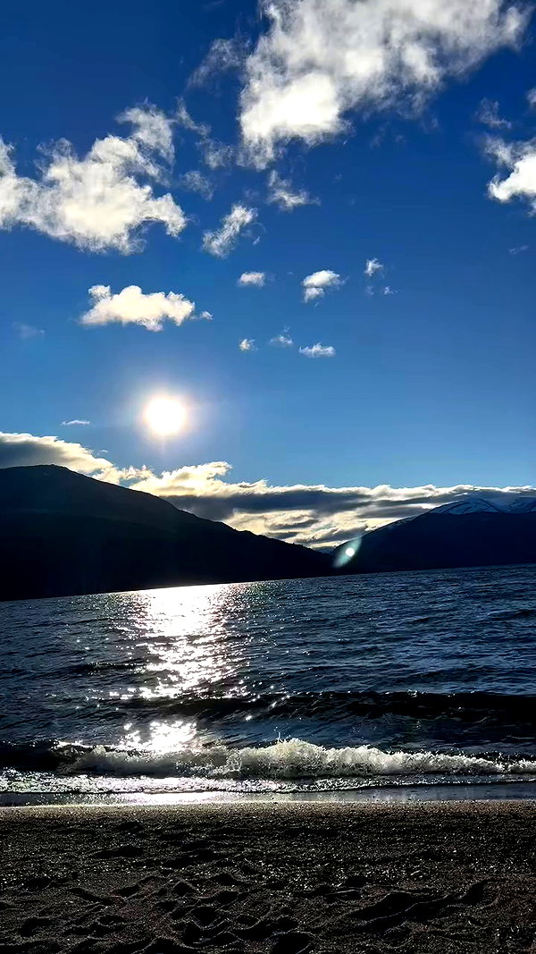 _aldibernardo archive video preview