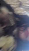 feelbetterinmysweater Altpins Profile Picture