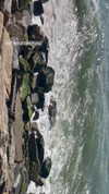 by.diwwa Altpins Profile Picture