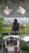 fallen.angel2007 Altpins Profile Picture