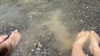 gissell_eli Altpins Profile Picture
