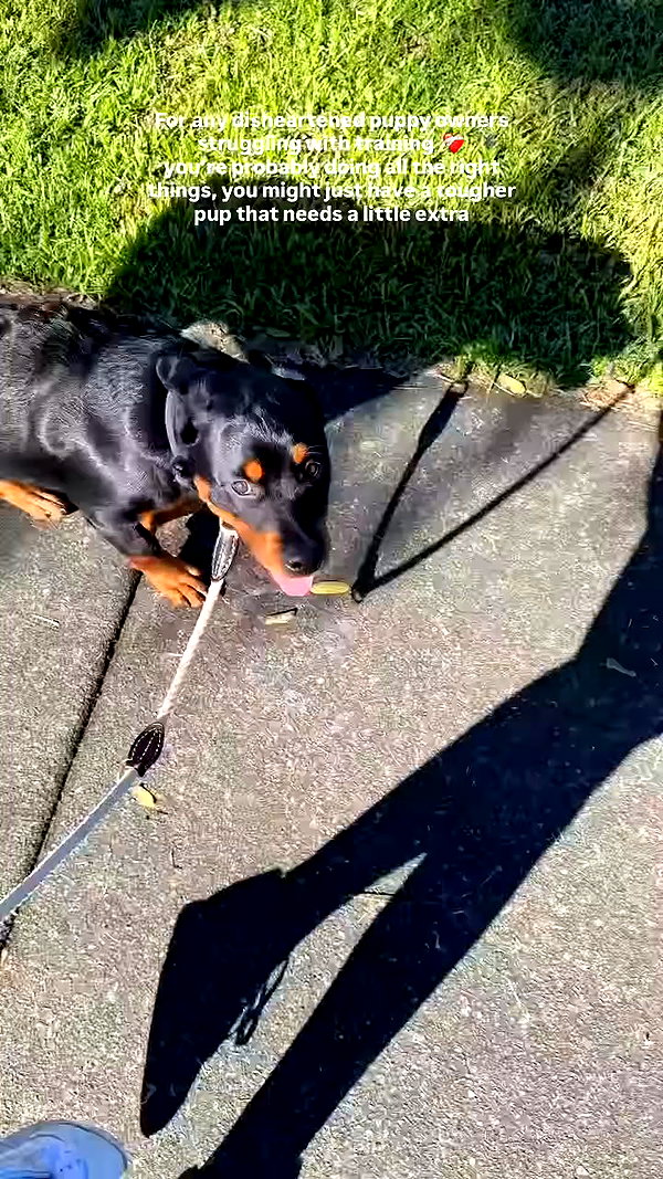 olivia.mathers archive video preview