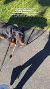 olivia.mathers Altpins Profile Picture