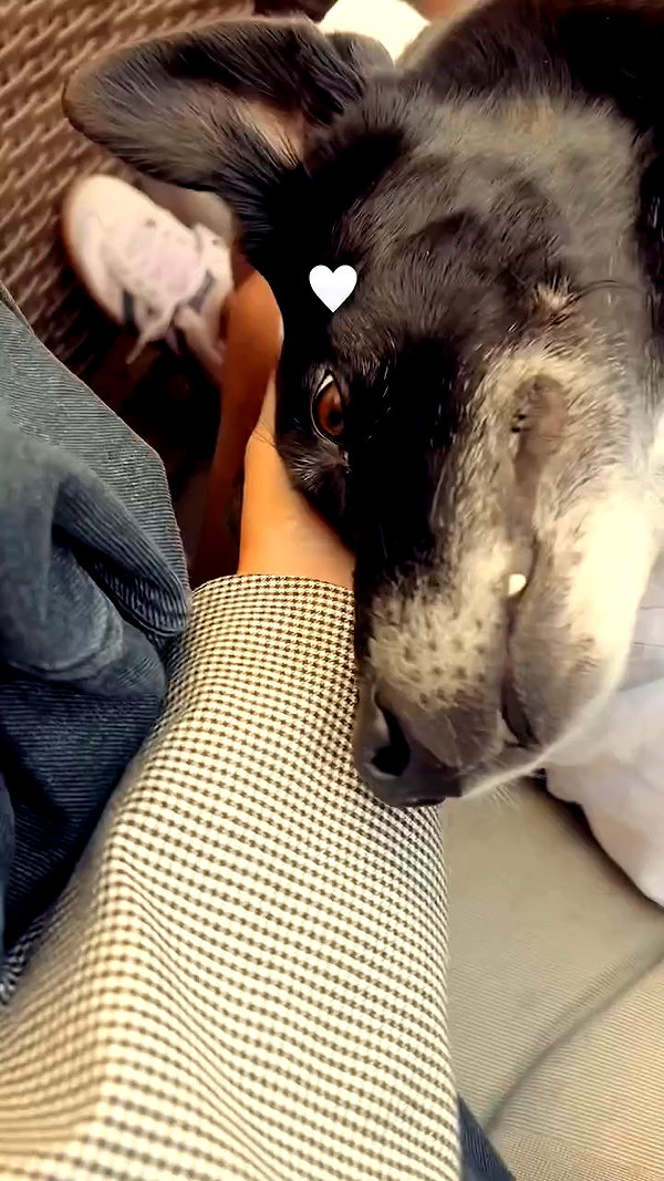 pia__kim archive video preview