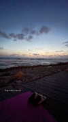 mishel_d_ Altpins Profile Picture