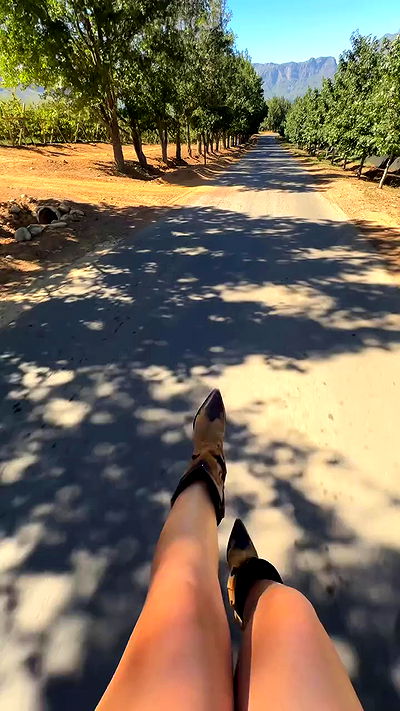 taylor.creeden taylor.creeden archive video