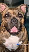 michelleloven_ Altpins Profile Picture