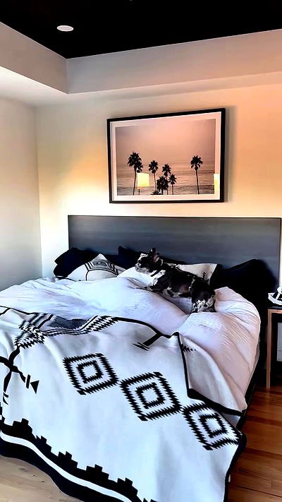 haylujan haylujan archive video