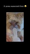 kkwwwv Altpins Profile Picture