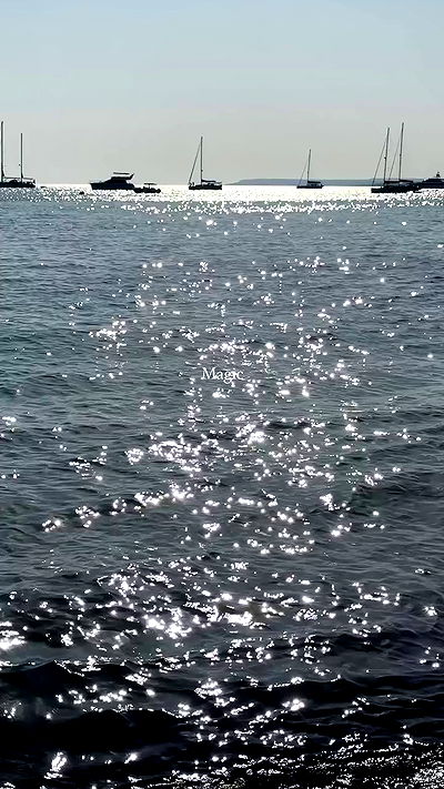 taylor.creeden taylor.creeden archive video