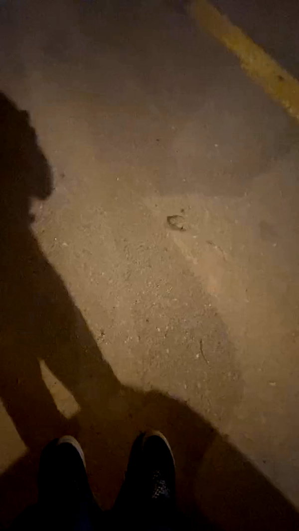 eitan.420 archive video preview