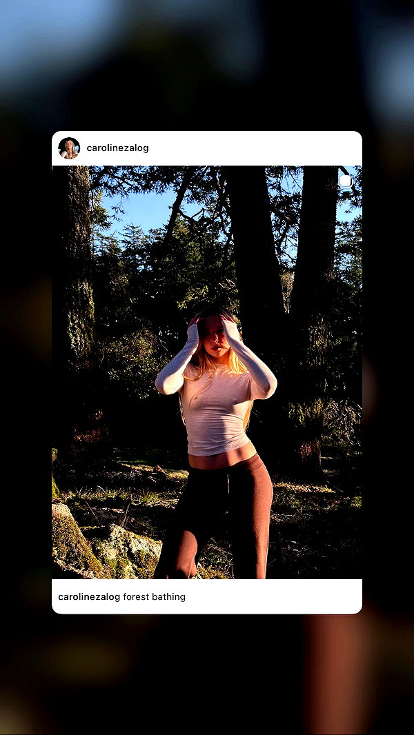 carolinezalog archive video preview