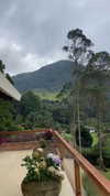 solzarubin_ Altpins Profile Picture