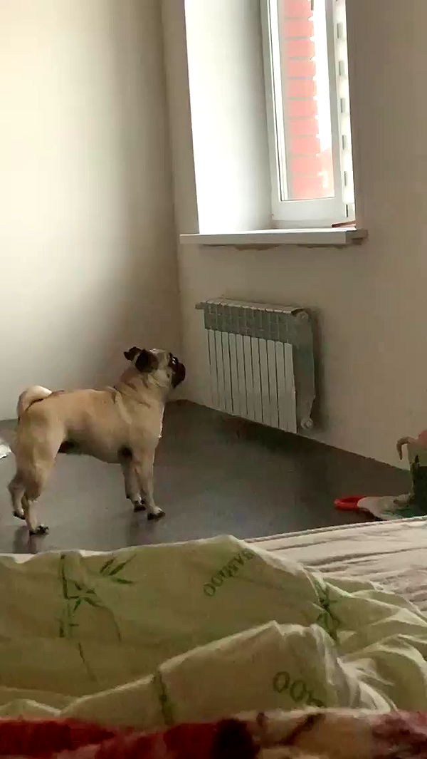 nyityam archive video preview