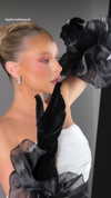taylorcattanach Altpins Profile Picture