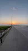 mishel_d_ Altpins Profile Picture