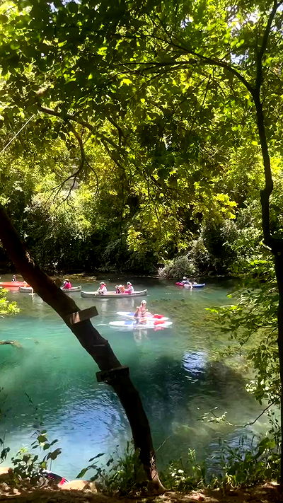 thelizzyporter thelizzyporter archive video