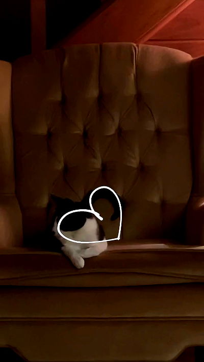 missnyxdawn missnyxdawn archive video