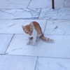 lilih Altpins Profile Picture