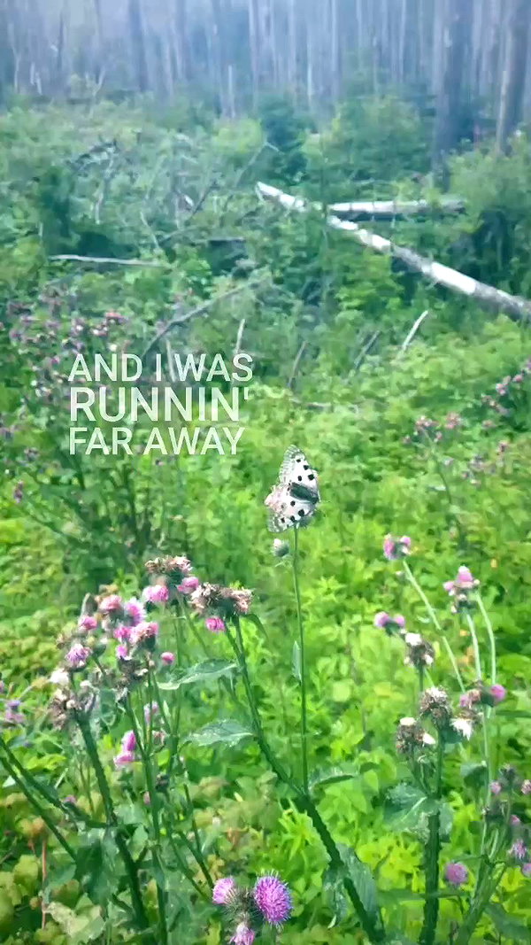 ssarnvd archive video preview