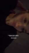 libby_reut Altpins Profile Picture