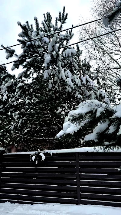 nyityam nyityam archive video