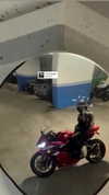 kaniiberry Altpins Profile Picture