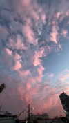 roee_mor_62 Altpins Profile Picture