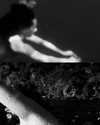 suspiria.em Altpins Profile Picture