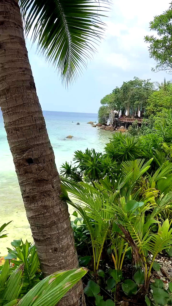 swfx_real archive video preview