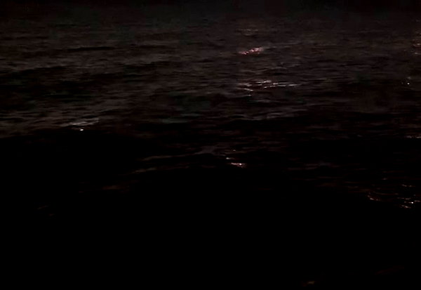 ellachristo archive video preview