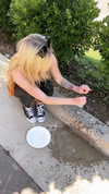 avrillavigne Altpins Profile Picture