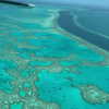 maori_cohen Altpins Profile Picture